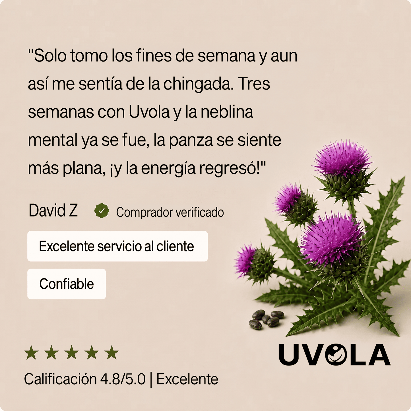 Uvola - Apoyo Con Cardo Mariano